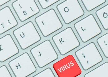 Image by feworave from Pixabay