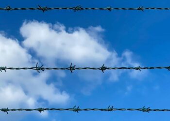 Photo by Aleksandar Pasaric from Pexels: https://www.pexels.com/photo/photo-of-barbed-wires-3370580/