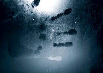 Ransomware targets firewalls: What Asia's CISOs must know